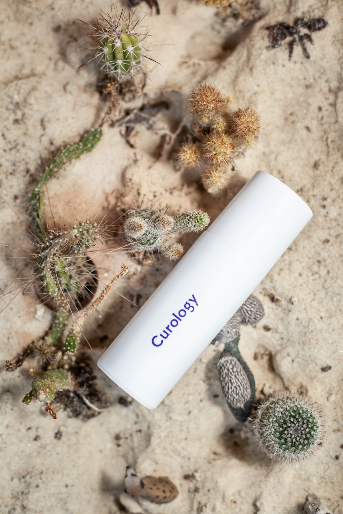 Premium cosmetic and skincare products manufactured with Nigerian shea butter as key ingredient